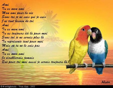 Les ami(e)s