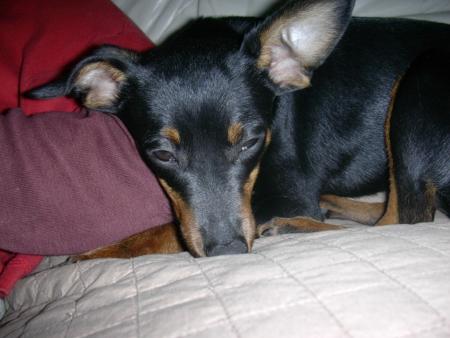 lola